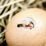 人と話すのが苦手な「コミュ障」の人に見られる心理や特徴、問題点について