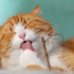 他人に厳しく自分に甘い人の心理と直すために必要なこと