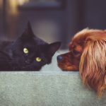 「フレネミー」味方のふりをした敵になる友達の特徴・心理について