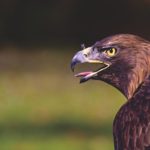 怒鳴り声が正直怖い、怒鳴る人が苦手な理由