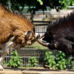 モラハラ加害者のターゲットにされないための対策