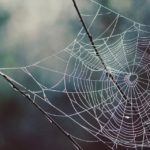 自己愛の強い人を追い込む時の注意点
