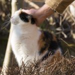 優しくされると不安になる心理について