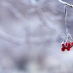 優しいけど冷たい印象を与えてしまう人の特徴