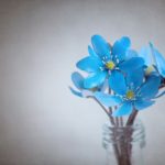 自称HSPの人に感じる違和感、怖さについて