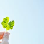 HSPで仕事が続かない？HSPだからこそ活躍する仕事9選